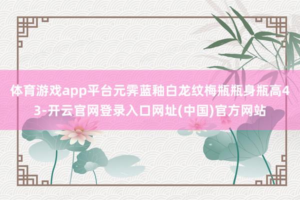 体育游戏app平台元霁蓝釉白龙纹梅瓶瓶身瓶高43-开云官网登录入口网址(中国)官方网站