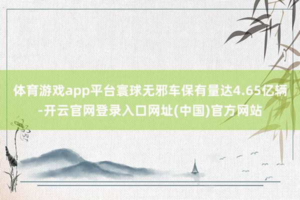 体育游戏app平台寰球无邪车保有量达4.65亿辆-开云官网登录入口网址(中国)官方网站