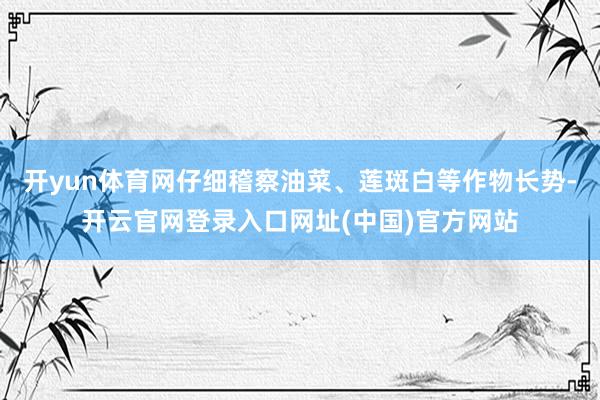 开yun体育网仔细稽察油菜、莲斑白等作物长势-开云官网登录入口网址(中国)官方网站